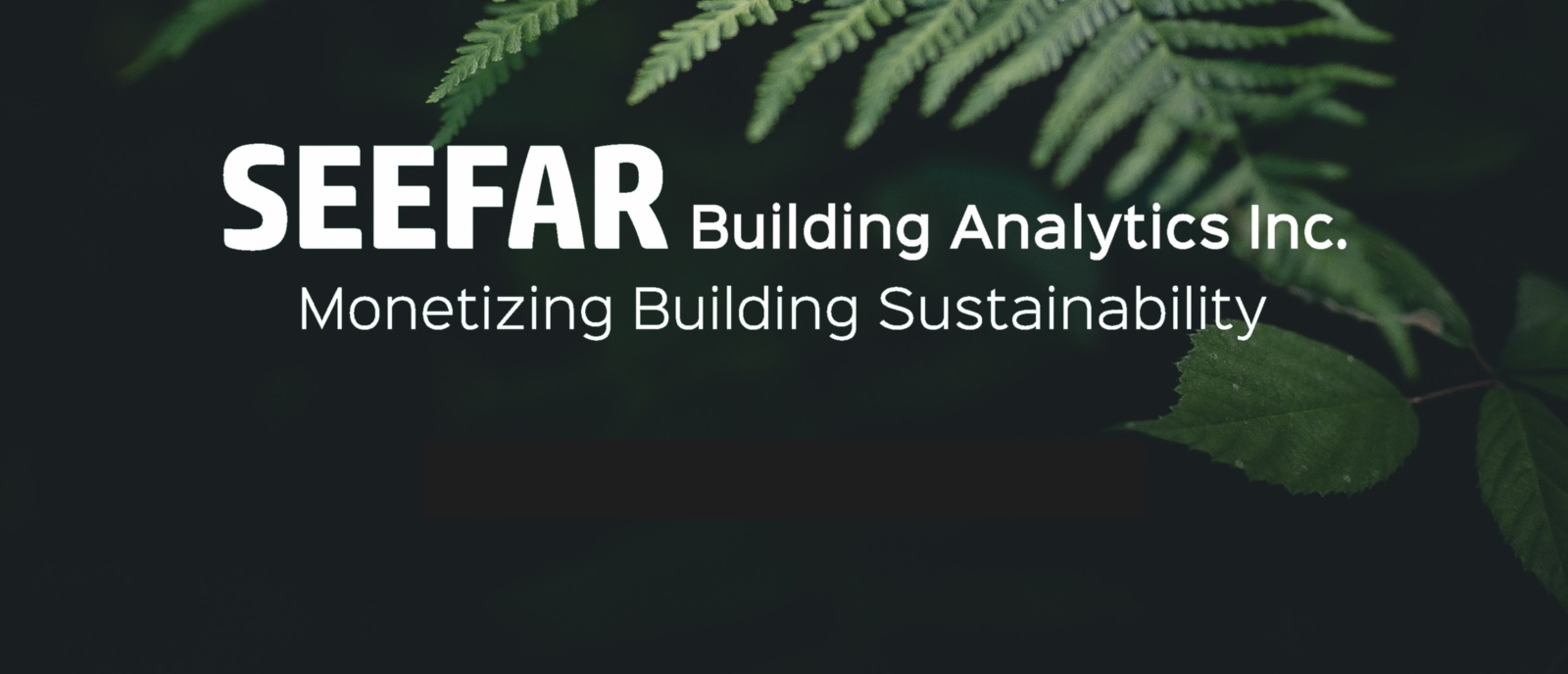 SEEFAR Building Analytics Inc.